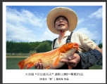 大泽镇“劳动者风采”摄影比赛获奖作品欣赏