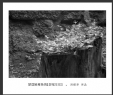 冯耀华“梦回吴哥”摄影作品欣赏(21)_在线影展的作品
