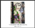 “大泽新城展新貌”摄影比赛获奖作品欣赏(7)_在线影展的作品
