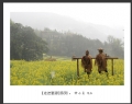 新会摄影协会“走进婺源”摄影作品欣赏(26)_在线影展的作品