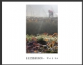 新会摄影协会“走进婺源”摄影作品欣赏(27)_在线影展的作品