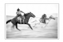 苏华娜《草原之魂》摄影作品欣赏(25)_在线影展的作品