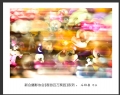 “春游百万葵园”摄影作品欣赏(55)_在线影展的作品