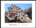 吴云刚“南美掠影”摄影作品欣赏(26)_在线影展的作品