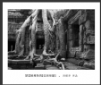 冯耀华“梦回吴哥”摄影作品欣赏(26)_在线影展的作品