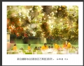 “春游百万葵园”摄影作品欣赏(56)_在线影展的作品