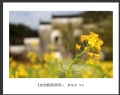 新会摄影协会“走进婺源”摄影作品欣赏(29)_在线影展的作品