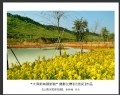 “大泽新城展新貌”摄影比赛获奖作品欣赏(14)_在线影展的作品