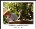 “森芭蕾杯”盆景大展摄影比赛获奖作品欣赏(28)_在线影展的作品