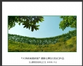 “大泽新城展新貌”摄影比赛获奖作品欣赏(15)_在线影展的作品