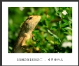 会城摄影协会“百微之美”微距作品欣赏(2)_在线影展的作品