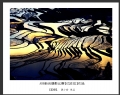 ABB新会摄影比赛获奖作品欣赏(2)_在线影展的作品