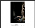 新会摄影协会“走进吴哥”摄影作品欣赏(31)_在线影展的作品
