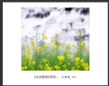 新会摄影协会“走进婺源”摄影作品欣赏(35)_在线影展的作品