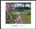新会摄影协会“走进婺源”摄影作品欣赏(36)_在线影展的作品