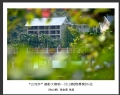 “古兜杯”摄影大赛第一月比赛 获奖欣赏(35)_在线影展的作品