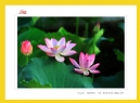 红丝带——关爱、支持与奉献”公益摄影展作品欣赏(34)_在线影展的作品