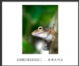 会城摄影协会“百微之美”微距作品欣赏(3)_在线影展的作品