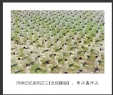 黄沃鑫 作品(3)_黄沃鑫的作品