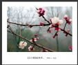 李毅仁“太行春色”摄影作品欣赏(3)_在线影展的作品