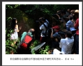新会摄影协会摄影创作基地睦州莲子塘村采风活动作品欣赏(3)_在线影展的作品