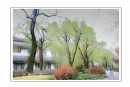 柳强《西湖翠柳四月天》摄影作品欣赏(8)_在线影展的作品