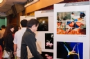 2015年新会摄影协会年会花絮(41)_在线影展的作品