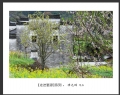 新会摄影协会“走进婺源”摄影作品欣赏(45)_在线影展的作品