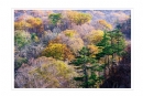石锦康《走进长白山 》摄影作品欣赏(2)_在线影展的作品