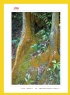 红丝带——关爱、支持与奉献”公益摄影展作品欣赏(42)_在线影展的作品