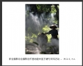 新会摄影协会摄影创作基地睦州莲子塘村采风活动作品欣赏(45)_在线影展的作品