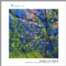 “葵乡”摄影作品展作品欣赏(1)_在线影展的作品
