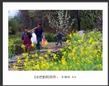 新会摄影协会“走进婺源”摄影作品欣赏(50)_在线影展的作品