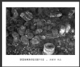 冯耀华“梦回吴哥”摄影作品欣赏(4)_在线影展的作品