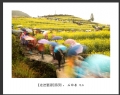 新会摄影协会“走进婺源”摄影作品欣赏(55)_在线影展的作品