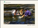 新会区摄影协会2013届摄影专修班学员作品展作品欣赏(51)_在线影展的作品