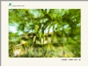 新会区摄影协会2013届摄影专修班学员作品展作品欣赏(72)_在线影展的作品