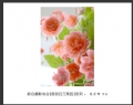 “春游百万葵园”摄影作品欣赏(11)_在线影展的作品