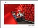 “葵乡”摄影作品展作品欣赏(53)_在线影展的作品