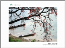 “葵乡”摄影作品展作品欣赏(55)_在线影展的作品