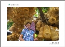 “葵乡”摄影作品展作品欣赏(62)_在线影展的作品