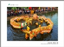 “葵乡”摄影作品展作品欣赏(71)_在线影展的作品