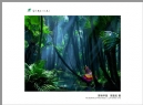 “葵乡”摄影作品展作品欣赏(73)_在线影展的作品
