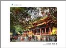 “葵乡”摄影作品展作品欣赏(75)_在线影展的作品