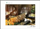 “葵乡”摄影作品展作品欣赏(42)_在线影展的作品