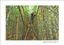 “税收·发展·民生”摄影大赛获奖作品欣赏(12)_在线影展的作品