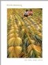“美在葵乡•相约新会”摄影大赛获奖作品欣赏(123)_在线影展的作品