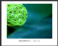 夏章烈 作品(7)_夏章烈的作品