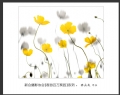 “春游百万葵园”摄影作品欣赏(61)_在线影展的作品