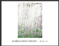 “春游百万葵园”摄影作品欣赏(63)_在线影展的作品